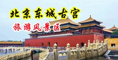 操屁股穴黄色软件在线观看中国北京-东城古宫旅游风景区